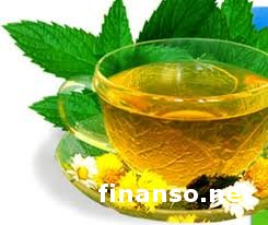 Ученые: Регулярное употребление зеленого чая снижает развитие старения