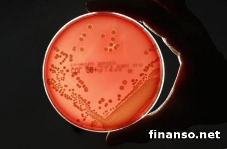 Учеными создан суперантибиотик, убивающий опасные бактерии